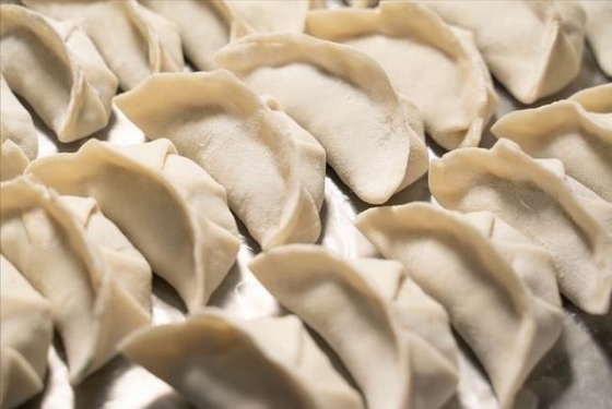 200-066-2 Natural Food Emulsifiers Compound Noodle Dumpling Improver GB2760