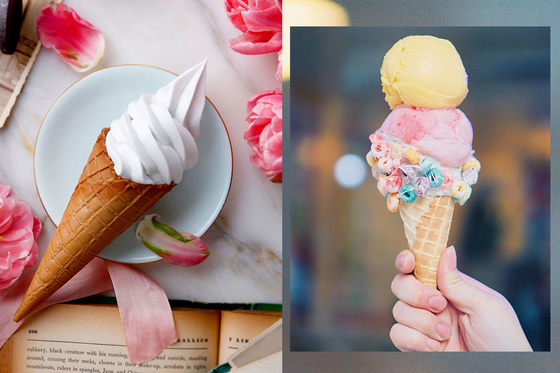 DMG GMS Ice Cream Emulsifiers