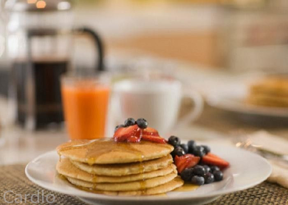 CAS 31566 31 1 Emulsifier 471 Ingredients