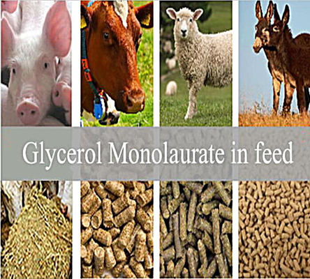 Feed Additives : Glycerol Monolaurate GML80 Powder for Animal